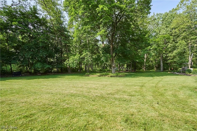 3478 Yellow Creek Rd, Bath, OH 44333 - photo 10