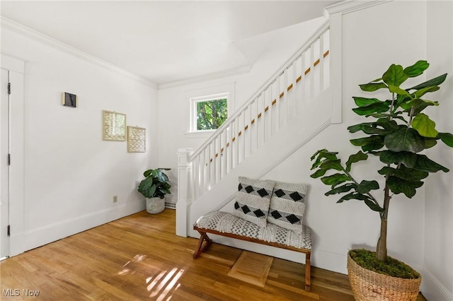 1372 W State St, Salem, OH 44460 - entryway featuring wood finished floors, stairway, ornamental molding, and baseboards
