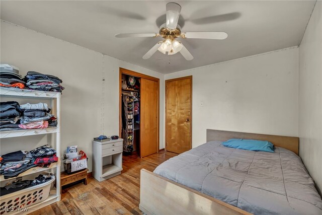 11996 Bower Rd, Minerva, OH 44657 - bedroom featuring wood finished floors, a closet, and a ceiling fan