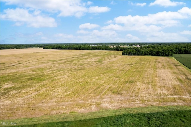 44544 Stewart Rd, Wellington, OH 44090 - photo 23