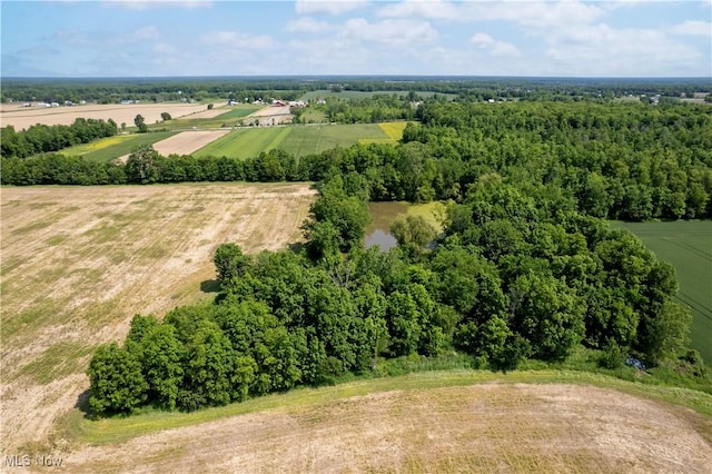 44544 Stewart Rd, Wellington, OH 44090 - photo 24