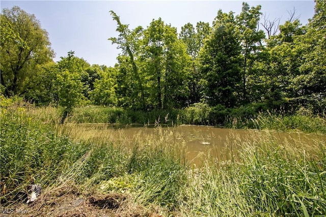 44544 Stewart Rd, Wellington, OH 44090 - photo 48