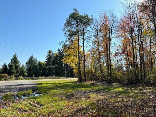 V/L1 Old State Rd, Chardon, OH 44024 - photo 2