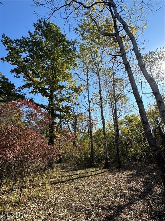 V/L1 Old State Rd, Chardon, OH 44024 - photo 5