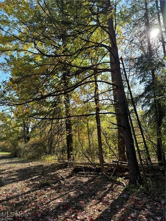V/L1 Old State Rd, Chardon, OH 44024 - photo 8