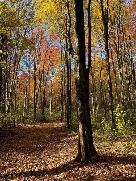 V/L1 Old State Rd, Chardon, OH 44024 - photo 13