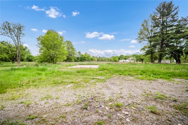 4241 Greenville Rd, Cortland, OH 44410 - view of yard
