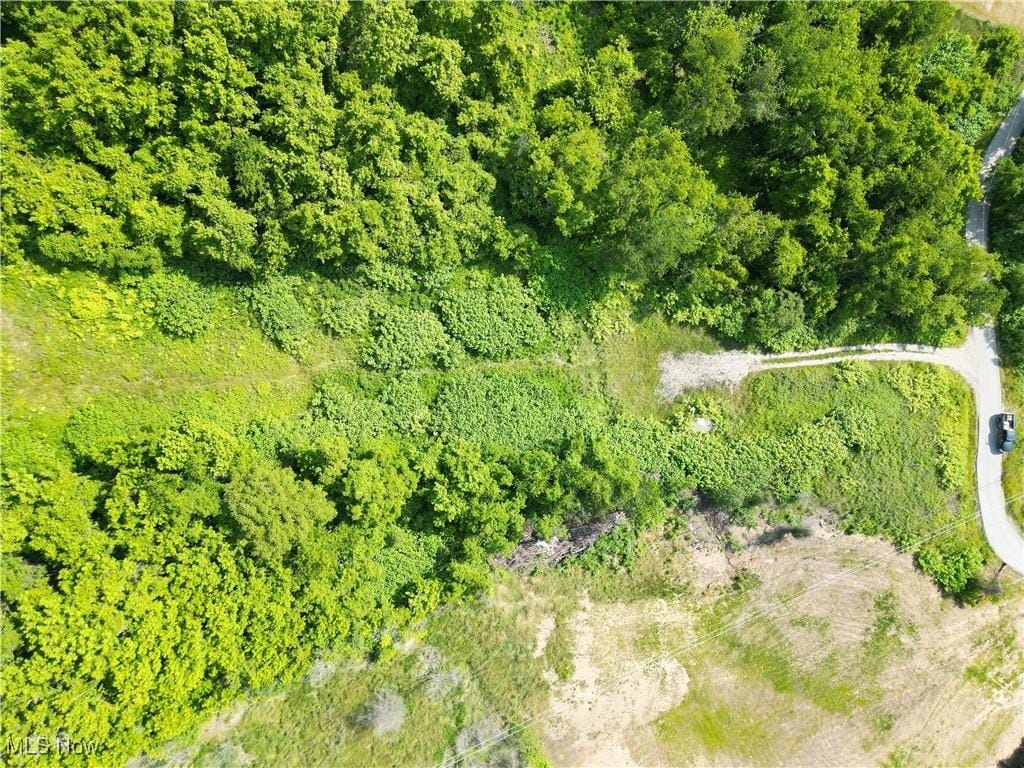 0000 Belmont St, Powhatan Point, OH 43942 - aerial view of property and surrounding area