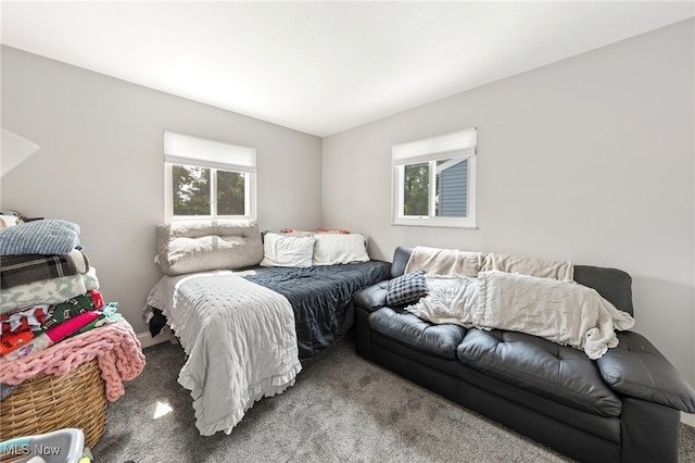 3357-3359 Rocky River Dr, Cleveland, OH 44111 - view of carpeted bedroom