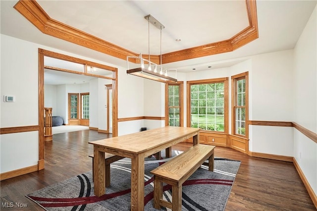 5968 Winchell Rd, Hiram, OH 44234 - dining area featuring a raised ceiling, dark wood-type flooring, and baseboards