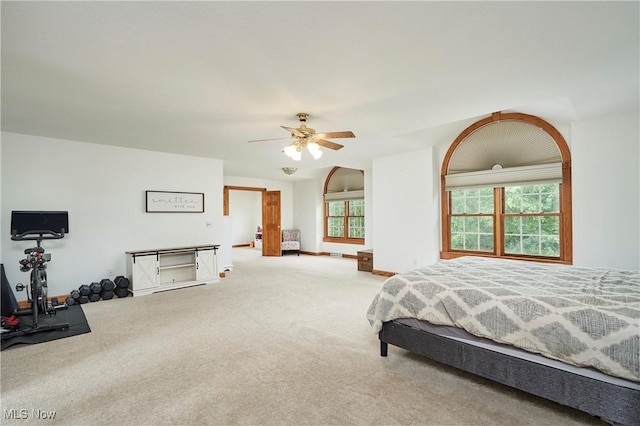 5968 Winchell Rd, Hiram, OH 44234 - carpeted bedroom featuring multiple windows and a ceiling fan