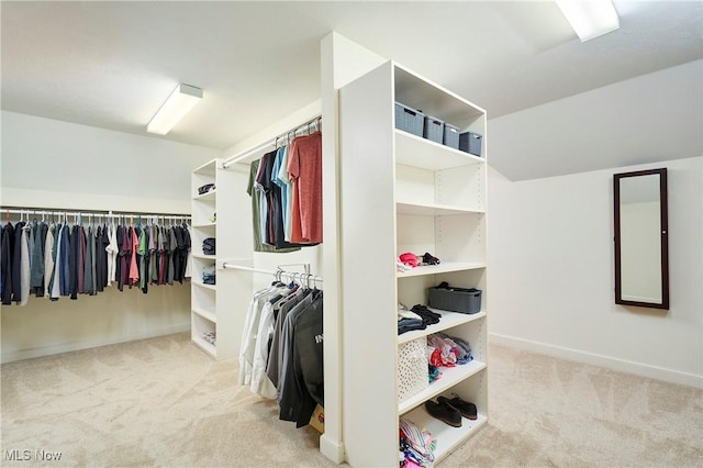 5968 Winchell Rd, Hiram, OH 44234 - spacious closet featuring carpet floors and lofted ceiling