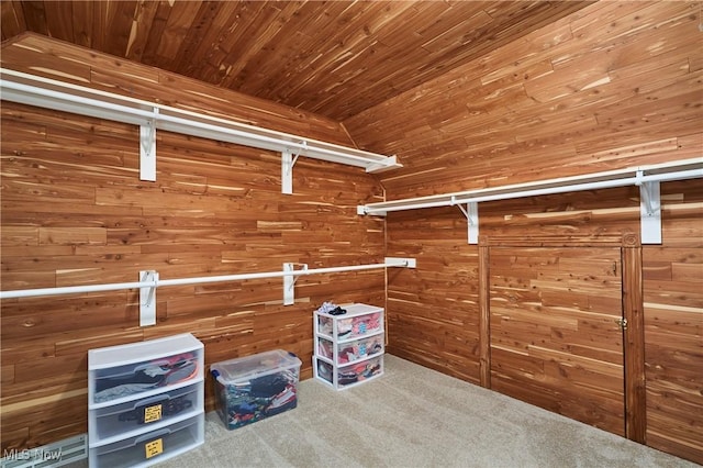5968 Winchell Rd, Hiram, OH 44234 - walk in closet with carpet and lofted ceiling