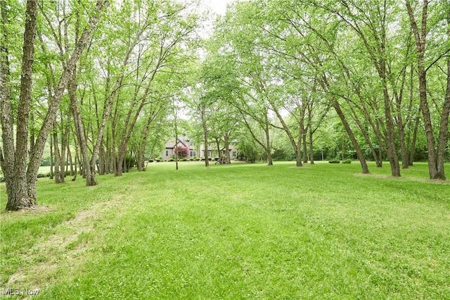 5968 Winchell Rd, Hiram, OH 44234 - view of grassy yard