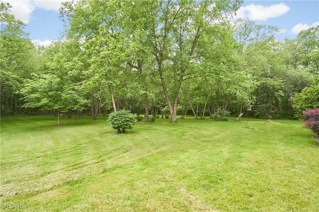 5968 Winchell Rd, Hiram, OH 44234 - view of grassy yard