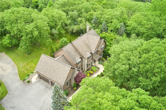 5968 Winchell Rd, Hiram, OH 44234 - view of subject property with a forest