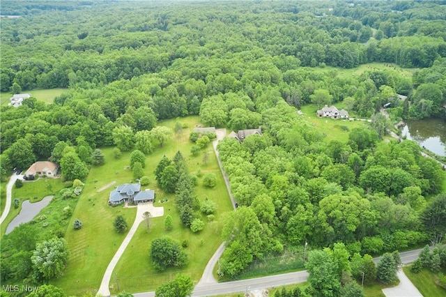 5968 Winchell Rd, Hiram, OH 44234 - bird's eye view of a forest and a large body of water