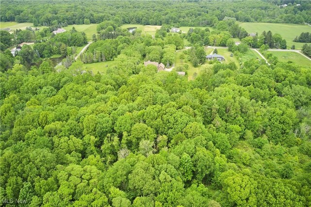 5968 Winchell Rd, Hiram, OH 44234 - bird's eye view of a forest