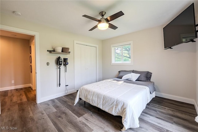 6268 Summers Rd, Windsor, OH 44099 - bedroom featuring a closet, baseboards, wood finished floors, and a ceiling fan