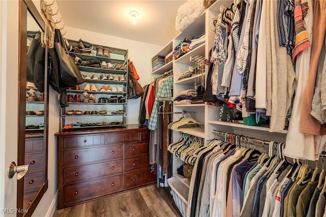 6268 Summers Rd, Windsor, OH 44099 - walk in closet with wood finished floors