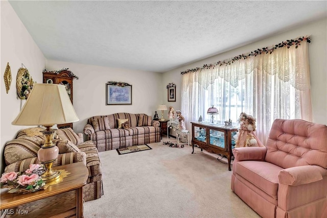3622 Valacamp Ave SE, Warren, OH 44484 - living room featuring light colored carpet and a textured ceiling