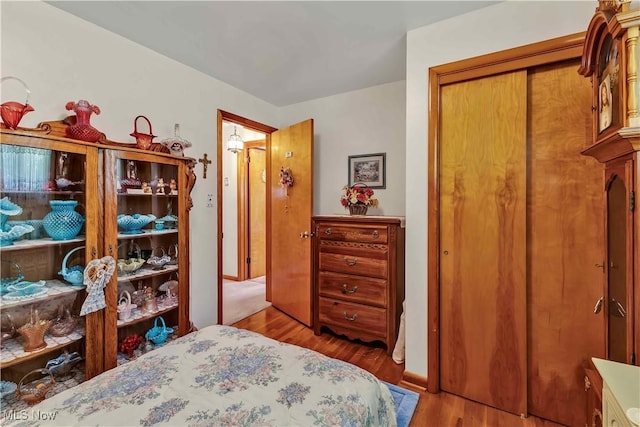 3622 Valacamp Ave SE, Warren, OH 44484 - bedroom with wood finished floors and a closet