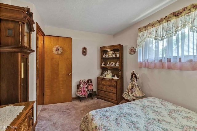 3622 Valacamp Ave SE, Warren, OH 44484 - bedroom featuring carpet flooring
