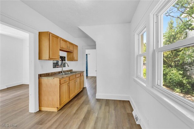 801 Rudyard Rd, Cleveland, OH 44110 - photo 11