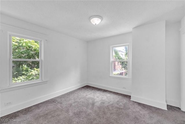 801 Rudyard Rd, Cleveland, OH 44110 - photo 21
