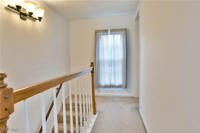 895 Elmwood Dr, Hubbard, OH 44425 - hallway with carpet floors, an upstairs landing, and baseboards