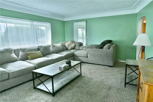 895 Elmwood Dr, Hubbard, OH 44425 - living area featuring arched walkways, a textured ceiling, carpet flooring, and baseboards