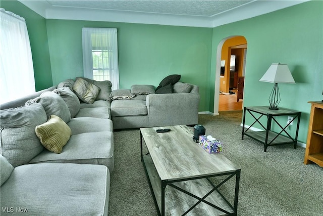 895 Elmwood Dr, Hubbard, OH 44425 - carpeted living room featuring arched walkways, a textured ceiling, and baseboards