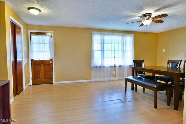 895 Elmwood Dr, Hubbard, OH 44425 - dining area featuring a textured ceiling, plenty of natural light, light wood-style flooring, a ceiling fan, and baseboards