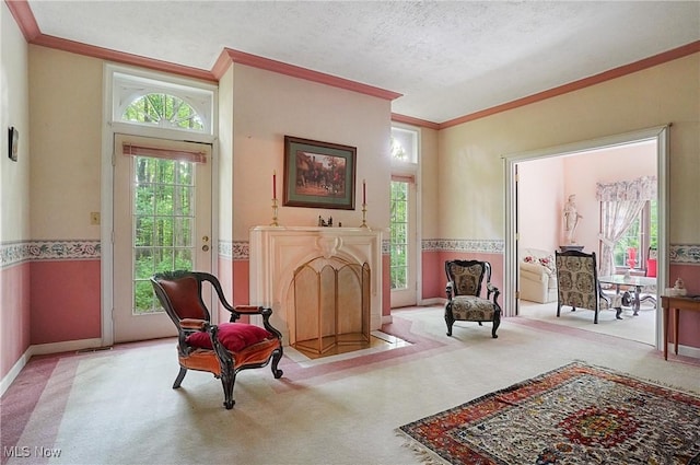 8650 Hidden Hills Dr SE, Howland, OH 44484 - sitting room with carpet, crown molding, plenty of natural light, and a textured ceiling