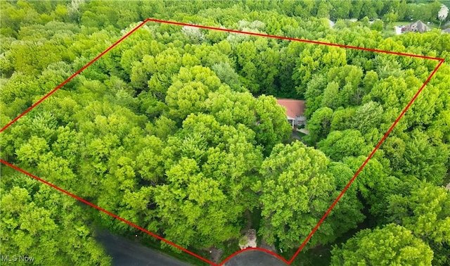 8650 Hidden Hills Dr SE, Howland, OH 44484 - aerial view of property's location with property parcel outlined and a heavily wooded area
