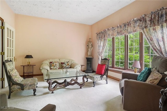 8650 Hidden Hills Dr SE, Howland, OH 44484 - carpeted living area with baseboards