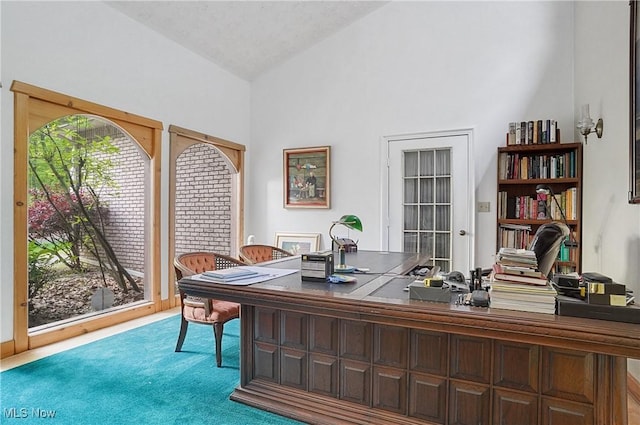 8650 Hidden Hills Dr SE, Howland, OH 44484 - office area with high vaulted ceiling