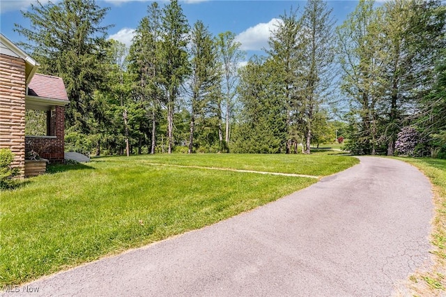 10790 Good Hope Pike, Jane Lew, WV 26378 - view of grassy yard