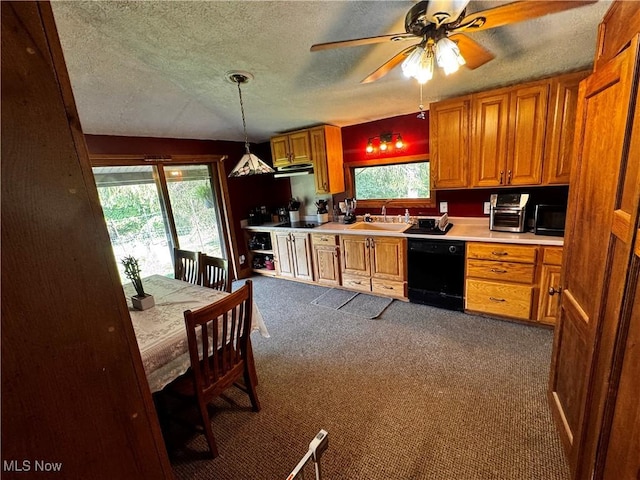 3175 Morningstar Rd, Blue Rock, OH 43720 - photo 16