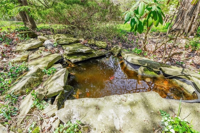 1415 Inwood Rd, Alliance, OH 44601 - exterior view of a garden pond