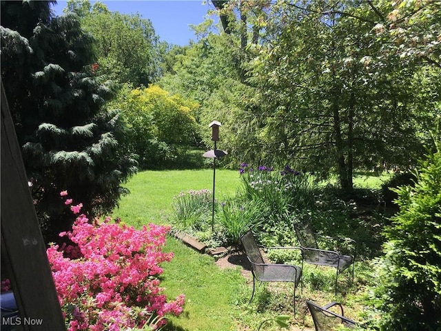 1415 Inwood Rd, Alliance, OH 44601 - view of grassy yard featuring a view of trees