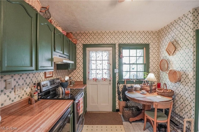 1415 Inwood Rd, Alliance, OH 44601 - kitchen with wallpapered walls, green cabinets, stainless steel electric stove, under cabinet range hood, and butcher block countertops