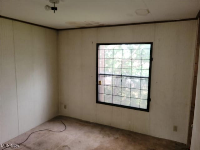 8709 Kenmore Ave, Cleveland, OH 44106 - photo 6