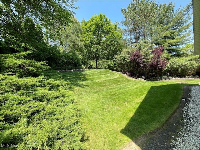 2847 Aaron Dr, Medina, OH 44256 - photo 37