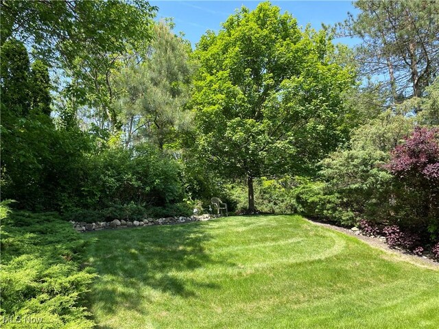2847 Aaron Dr, Medina, OH 44256 - photo 39