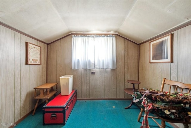 7100 Barton Rd, North Olmsted, OH 44070 - game room featuring vaulted ceiling, wood walls, and carpet floors