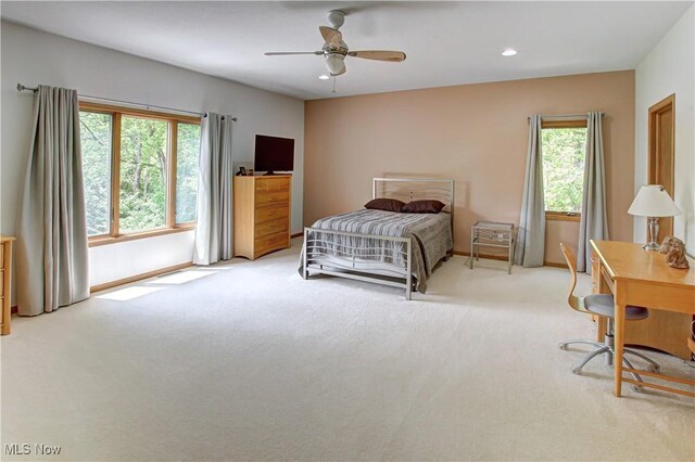 77 Carr Rd, Hinckley, OH 44233 - photo 24
