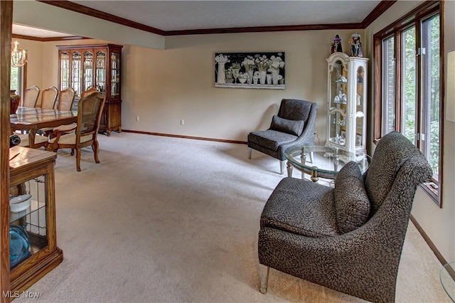 77 Carr Rd, Hinckley, OH 44233 - photo 16