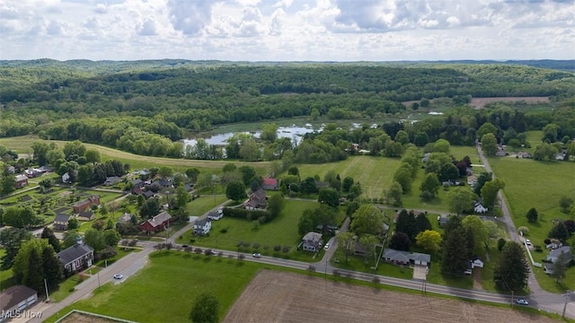 195 W 5th St, Zoar, OH 44622 - bird's eye view of a forest and a large body of water