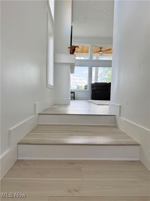 5771 E Blvd NW, Canton, OH 44718 - stairway with wood finished floors and baseboards